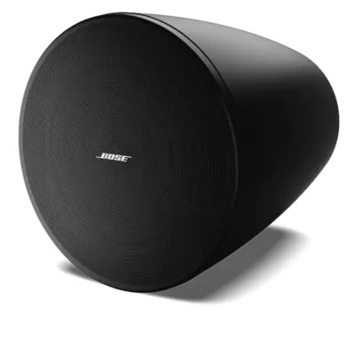 Altavoz BOSE DesignMax DM6PE en ARTIKULOS Foto 2