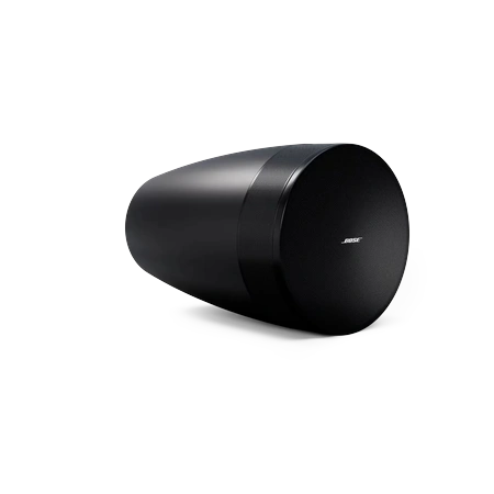 BOSE DesignMax Luna Altavoz DML88P en ARTIKULOS Foto 2
