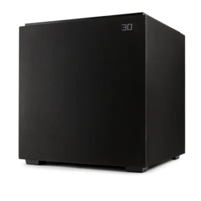 Definitive Technology DN12 Negro