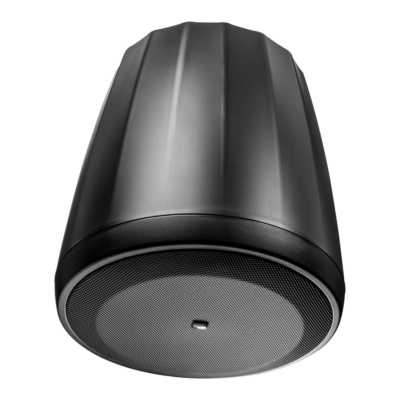 JBL Control 64P-T Negro en ARTIKULOS Foto 1