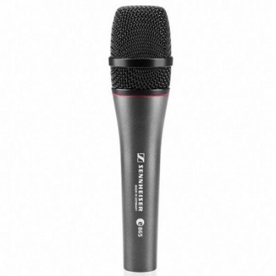 Micrófono Sennheiser e865